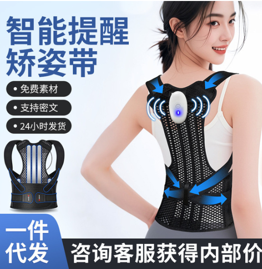 Shandong Banbanni Electronic Technology Co., Ltd.